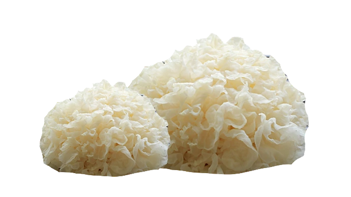 Tremella Mushroom
