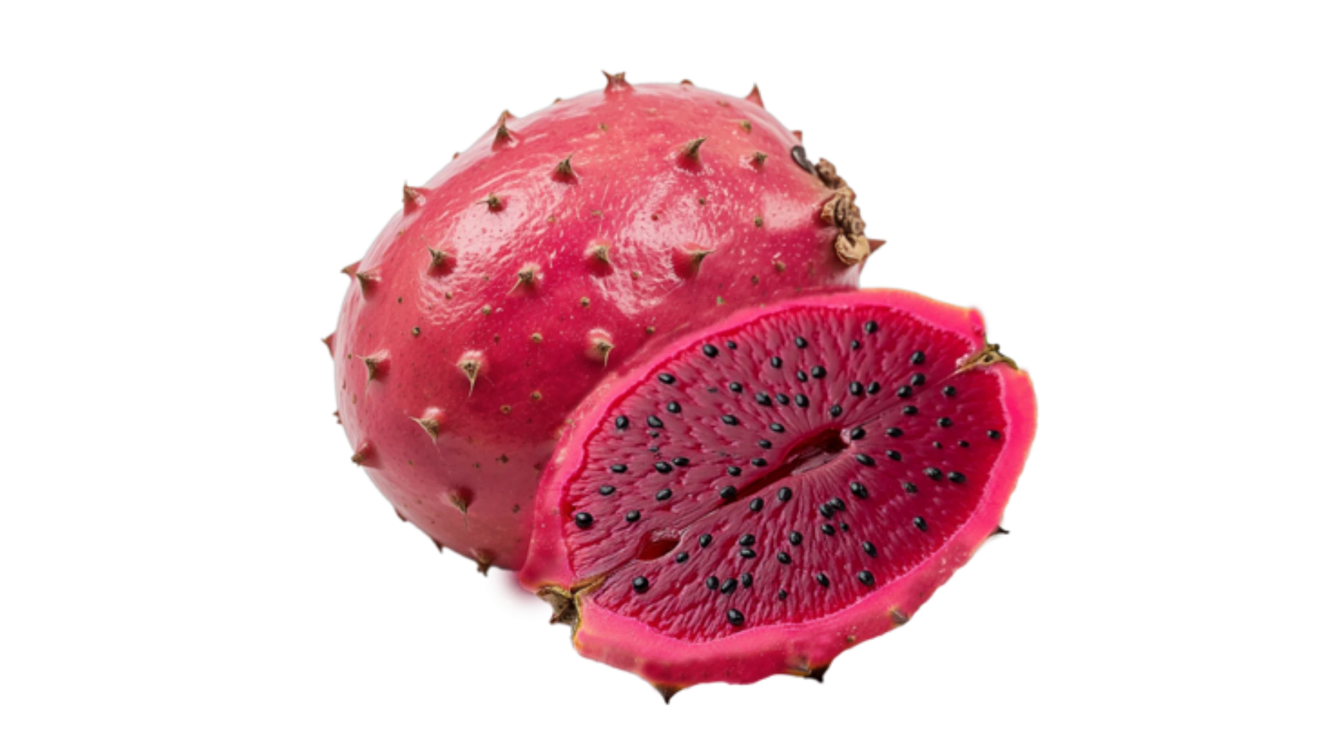 Prickly Pear Extract