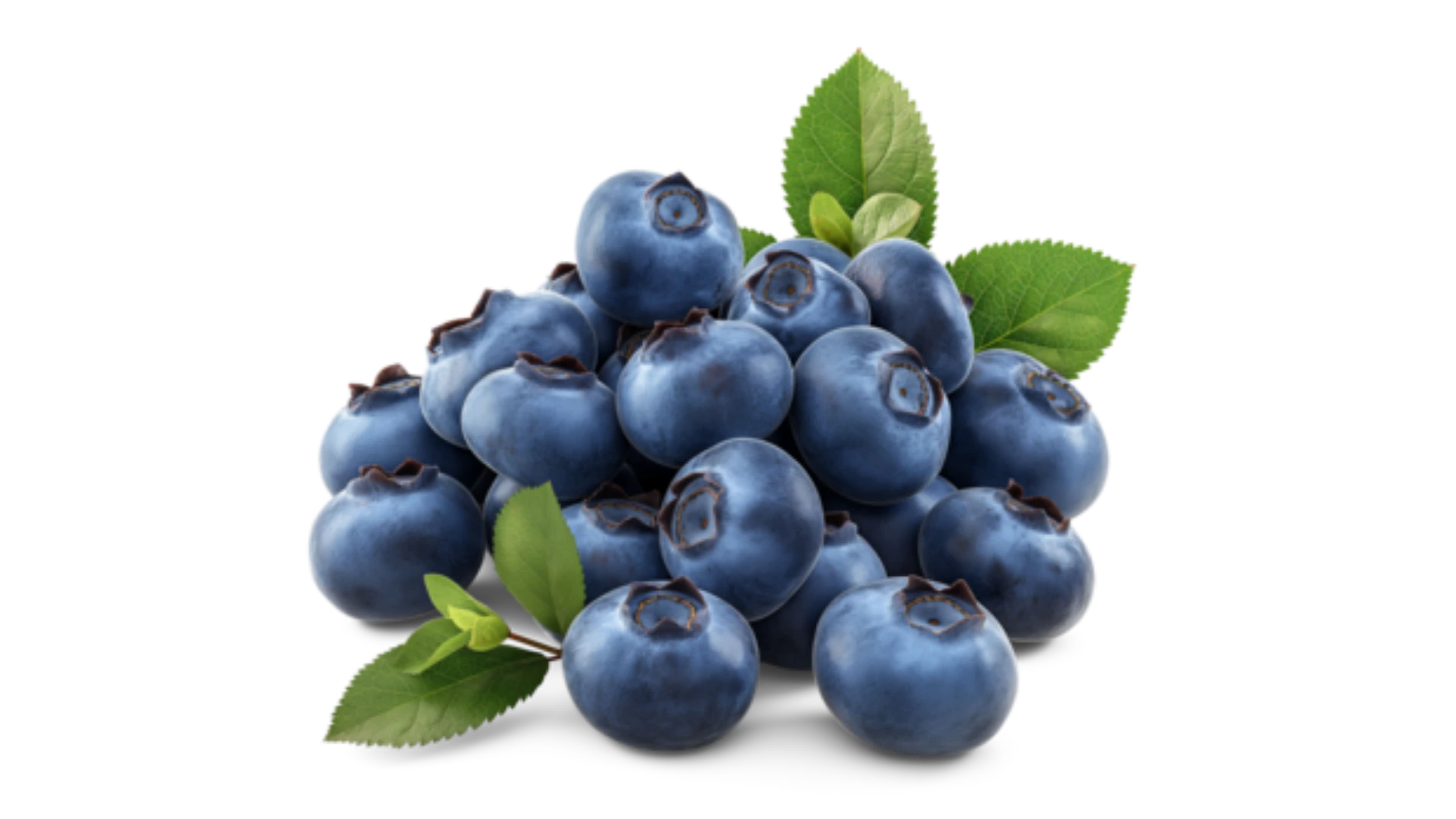 Blueberry