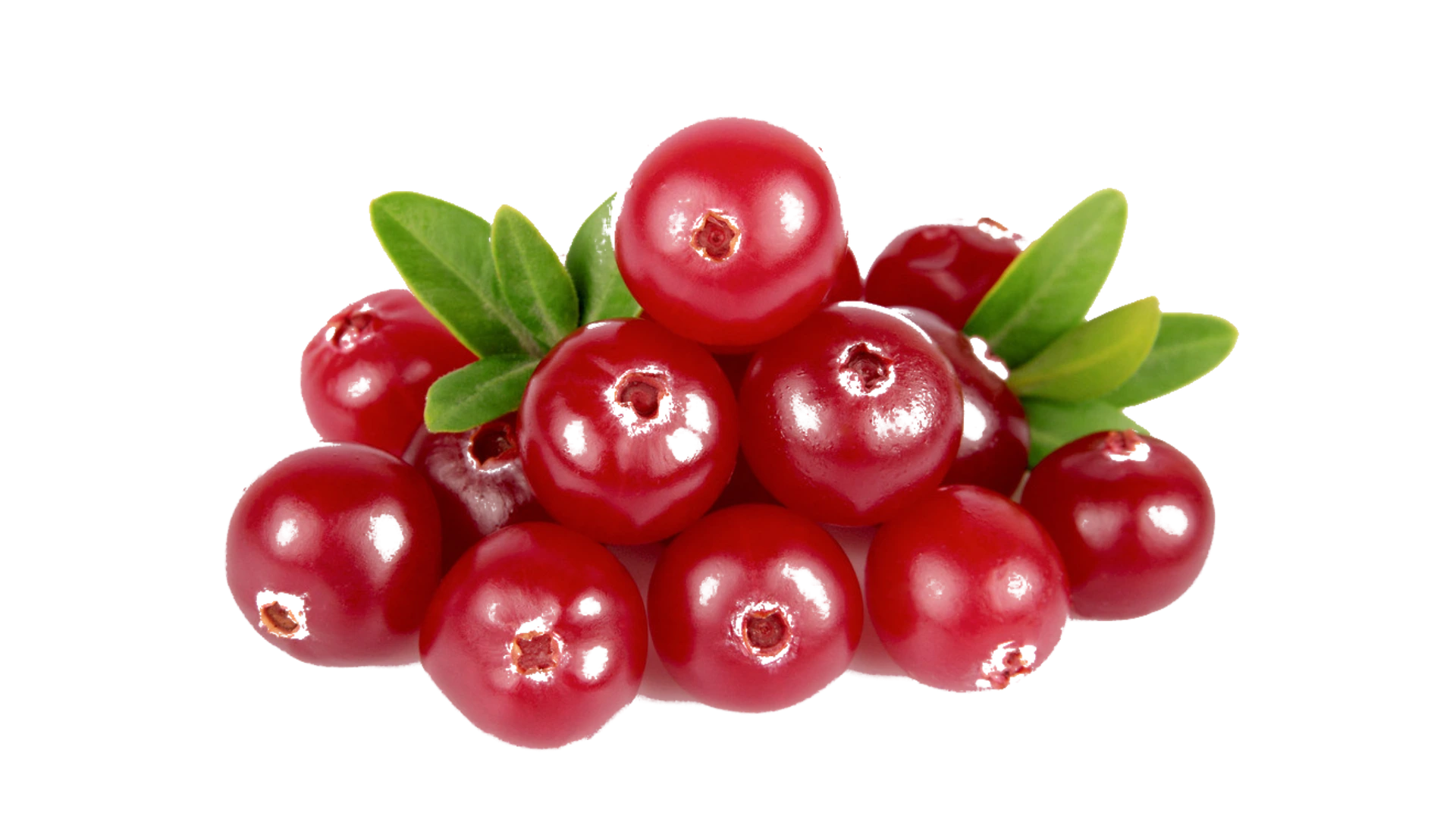 Cranberry