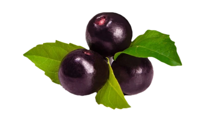 Acai Berry