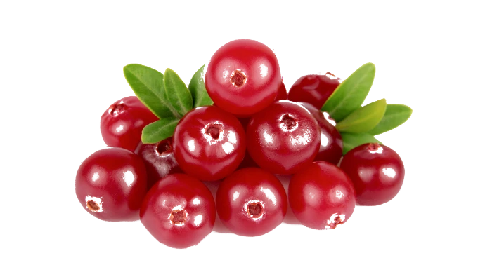 Cranberry